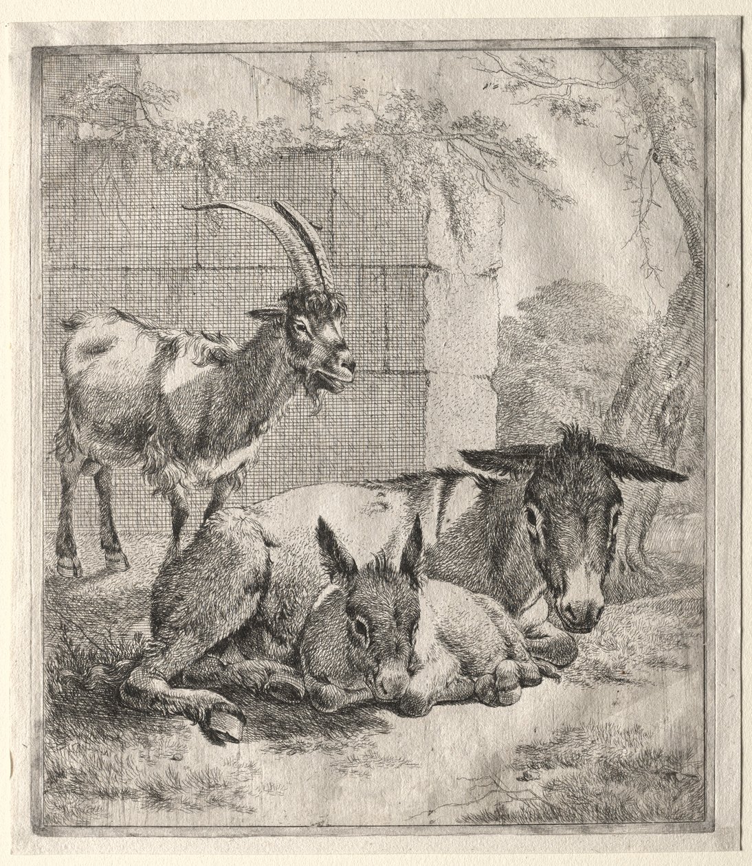 Geit og esler. av Johann Heinrich Roos
