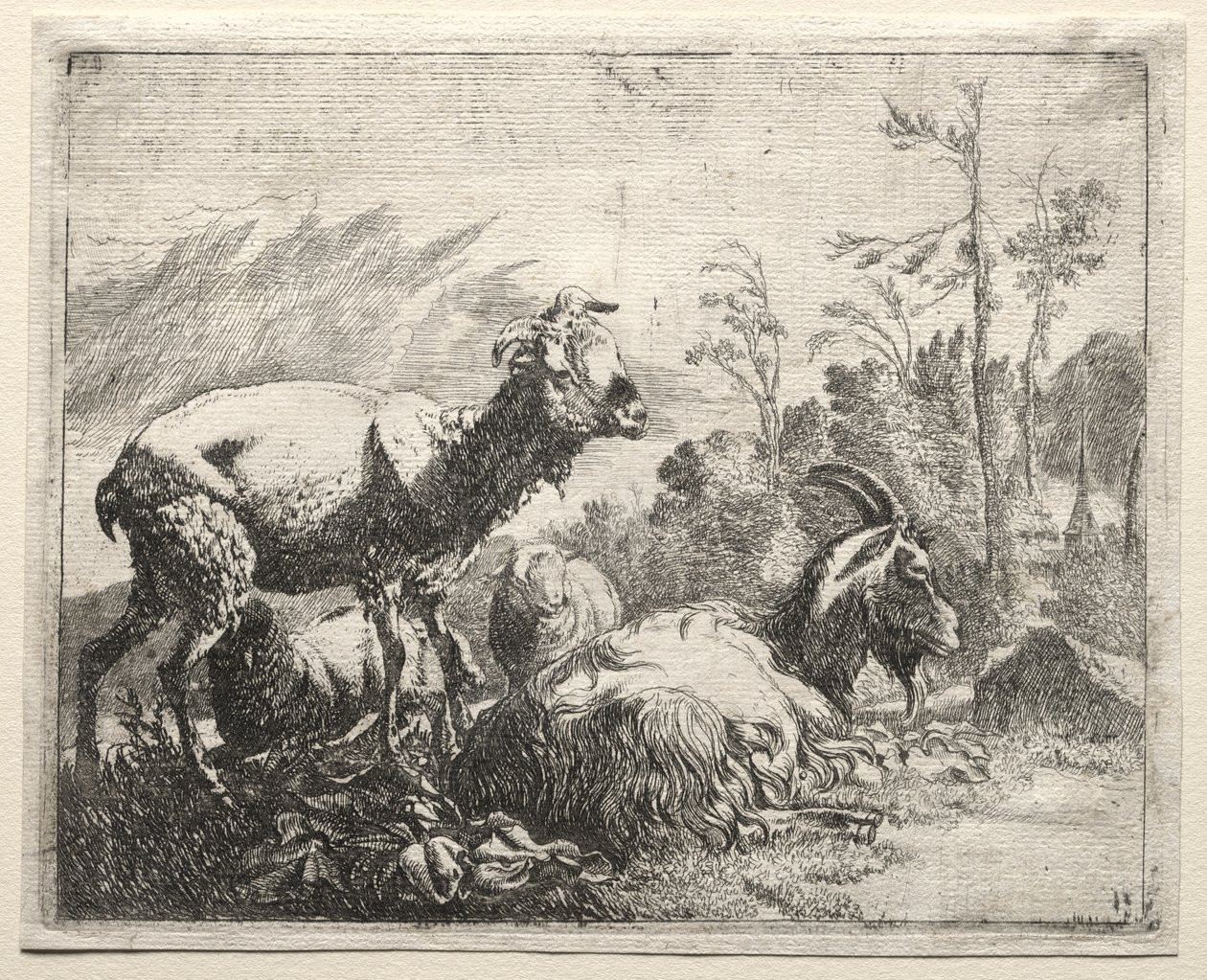 Geiter av Johann Heinrich Roos