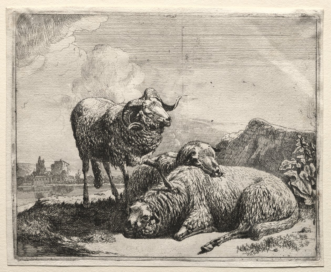 Vær og to sauer av Johann Heinrich Roos