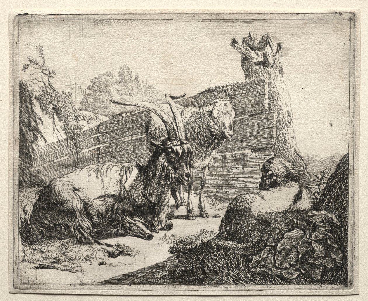 The Hedgerow, 1665. av Johann Heinrich Roos