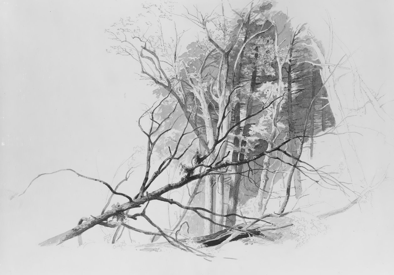 Skogscene,. av Johann Hermann Carmiencke