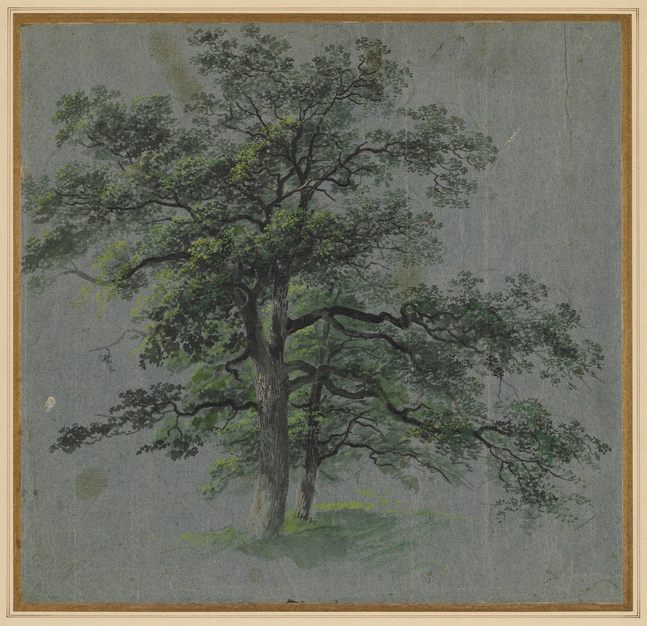 To trær (recto) av Johann Jacob Dorner