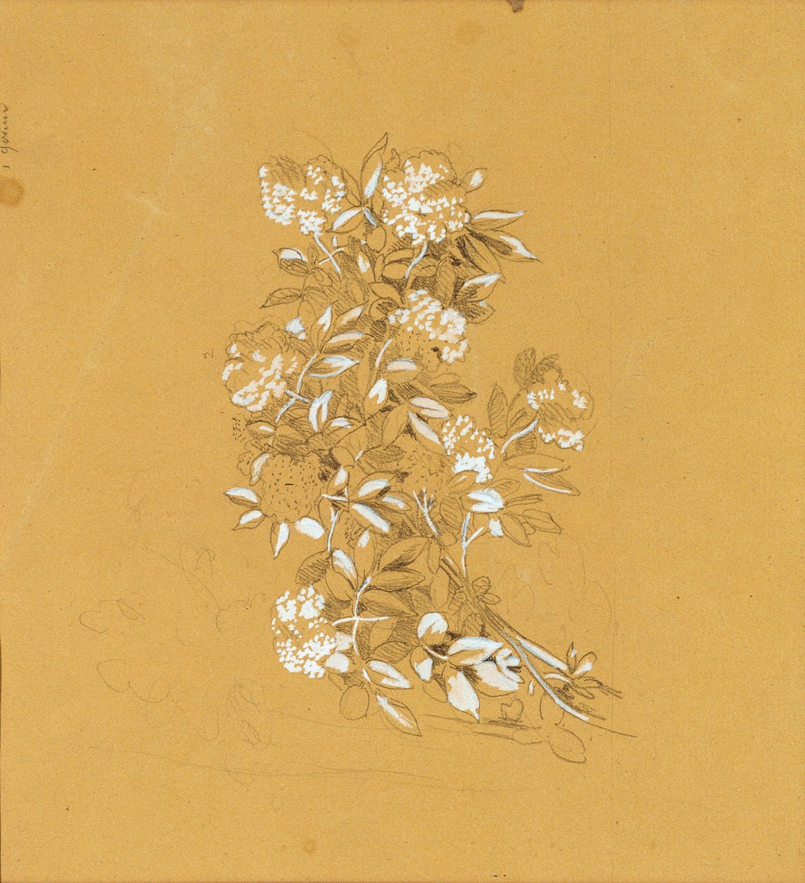 Blumenbukett av Johann Peter Krafft