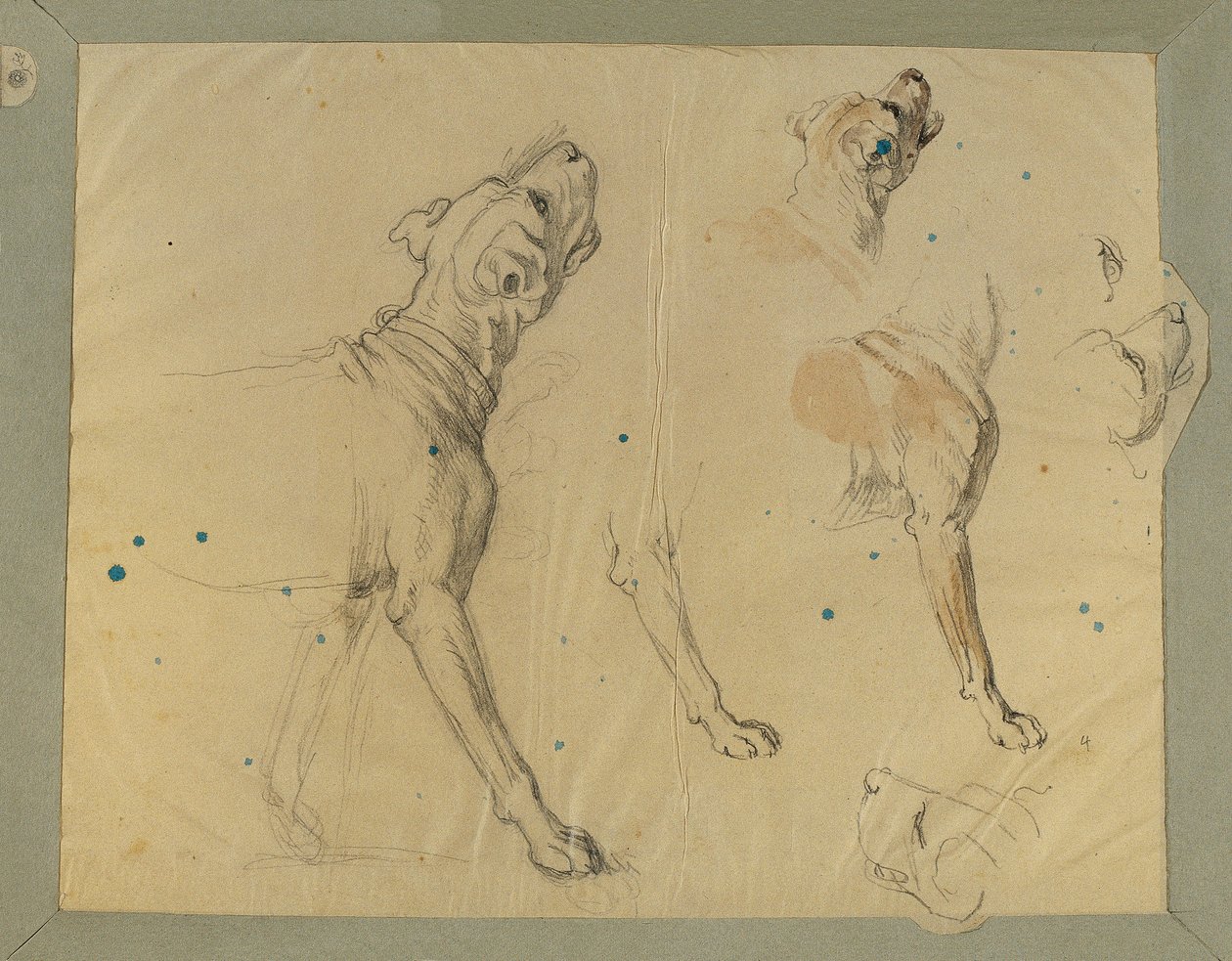Hundestudie for "Landwehr-mannens hjemkomst" (1820) av Johann Peter Krafft