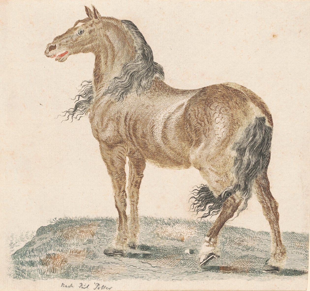 Nabohesten, 1690-tallet. av Johann Teyler
