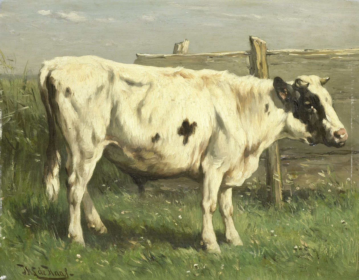 Ung okse av Johannes Hubertus Leonardus de Haas
