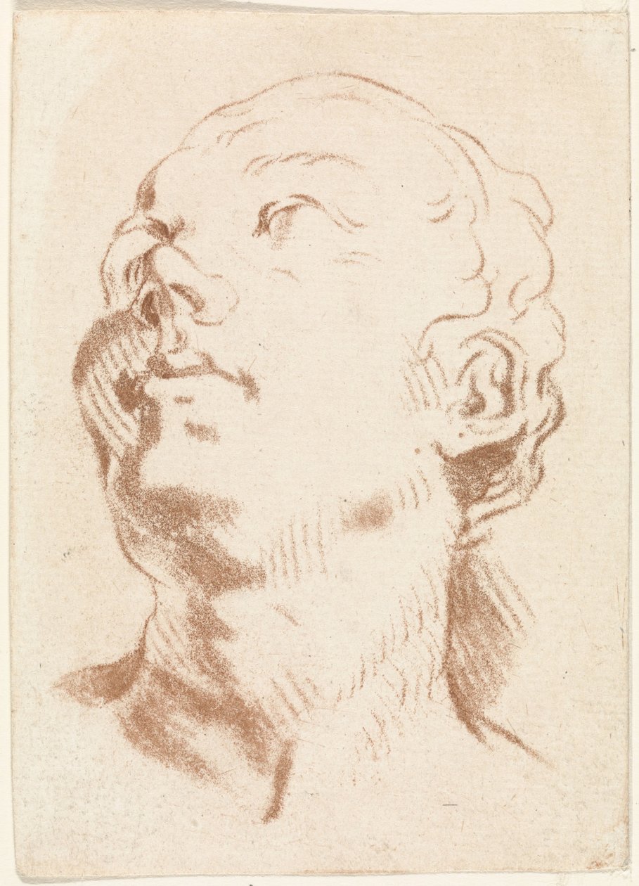 Kvinnes hode av Johannes Janson (possibly)