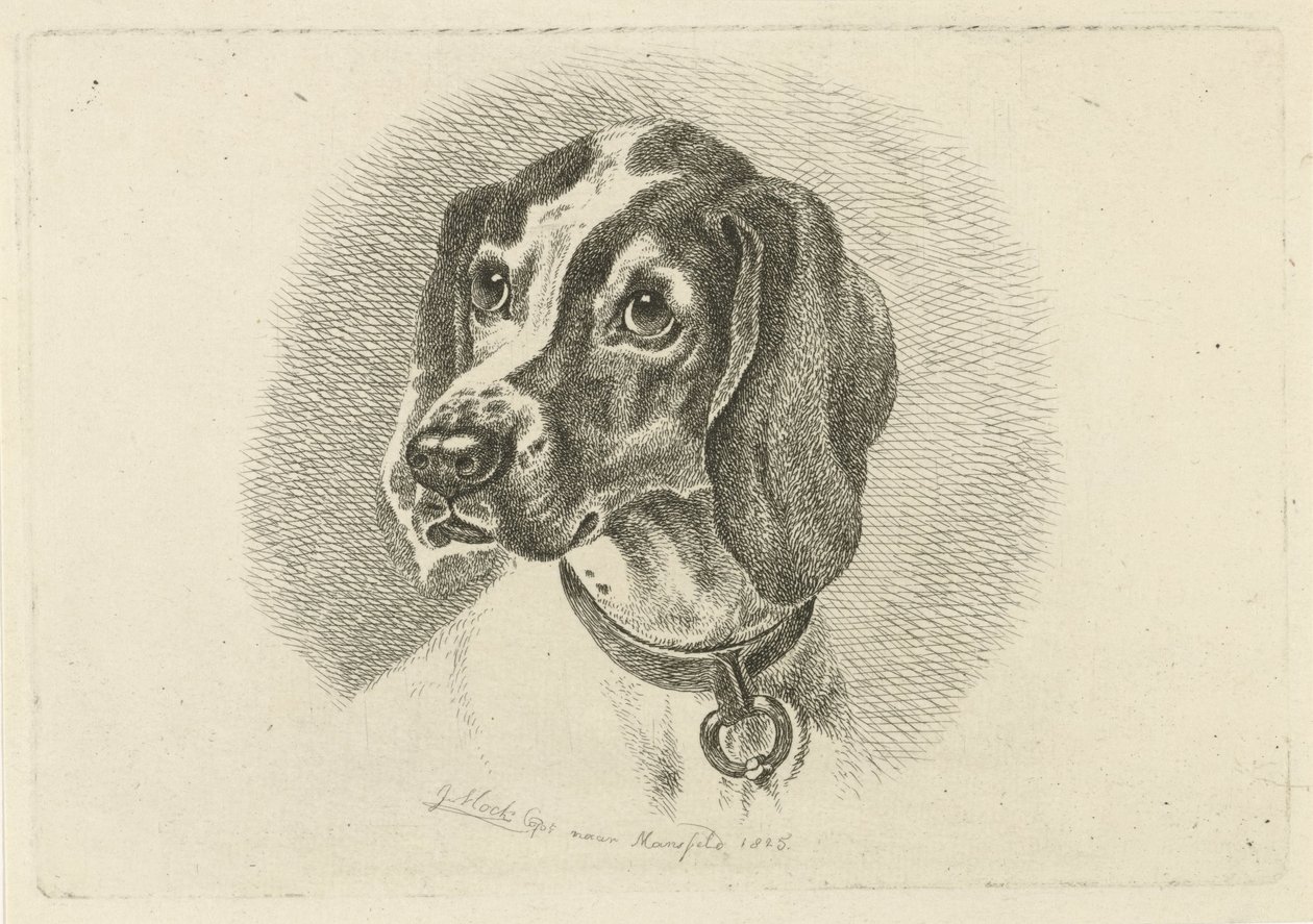 Hundehode med halsbånd med ring av Johannes Mock