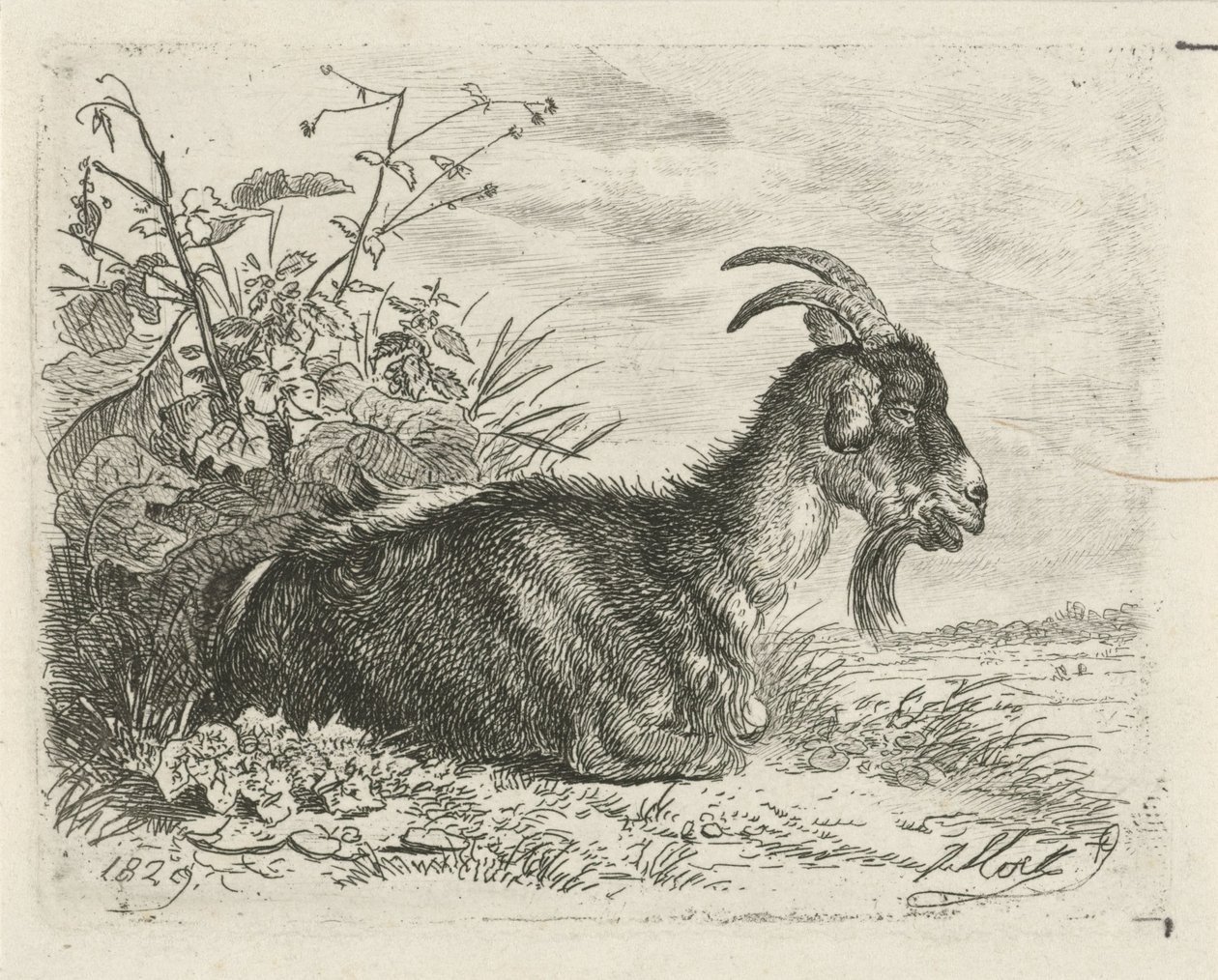 Liggende bok av Johannes Mock