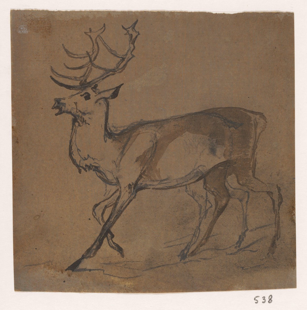 Hert av Johannes Tavenraat