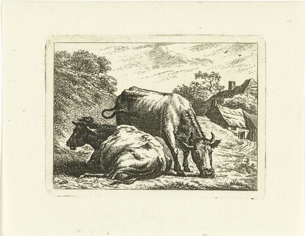 To kyr langs veien ved gården av Johannes van Cuylenburgh