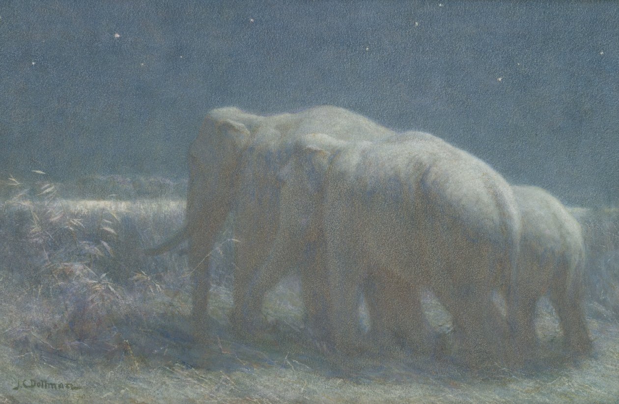 Natt, 1908 (wc og kritt på papir) av John Charles Dollman