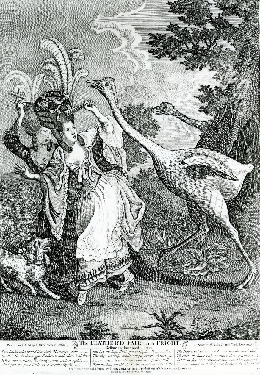 The Feathered Friend in a Fright, 1779 av John Collet