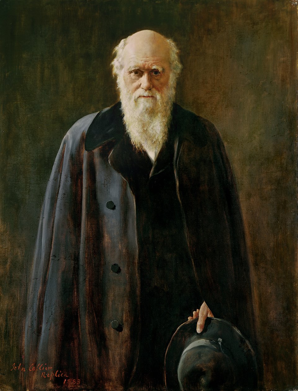 Portrett av Charles Darwin (1809-1882) 1883 av John Collier