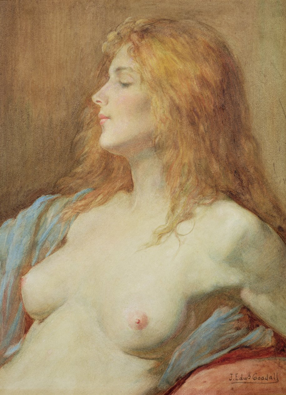 En rødhåret av John Edward Goodall