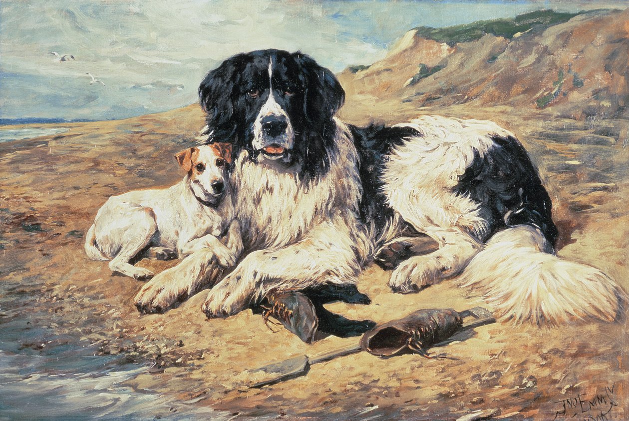 Hunder som ser på badegjester, 1900 av John Emms