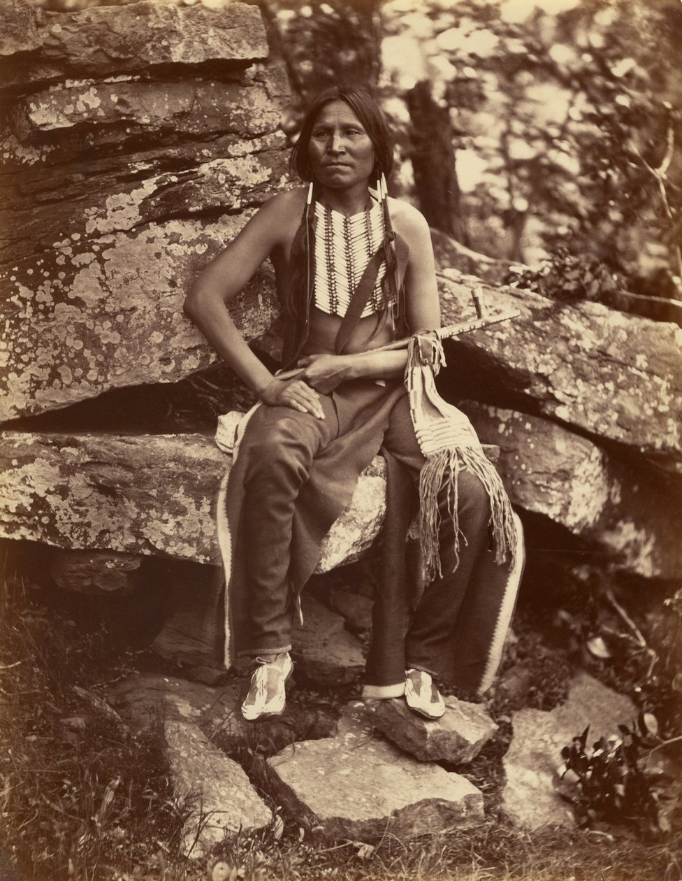 Lille bjørn, Cheyenne av John K. Hillers