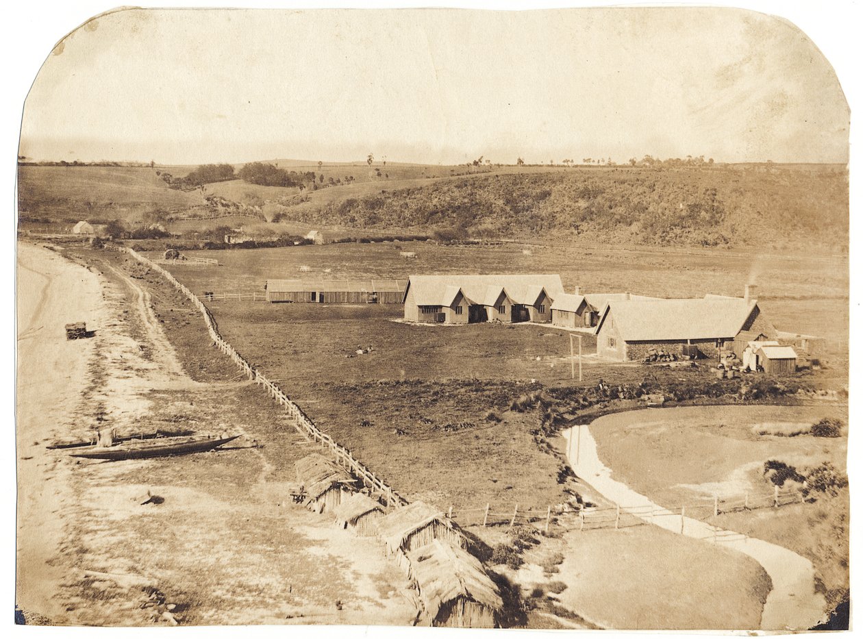Kohimarama, ca. 1860 (albuminisert salttrykk) av John Nicol Crombie