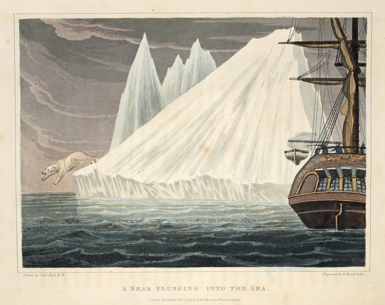 En bjørn som stuper i havet, illustrasjon fra 'En oppdagelsesreise...', 1819 (håndfarget gravering) av John Ross