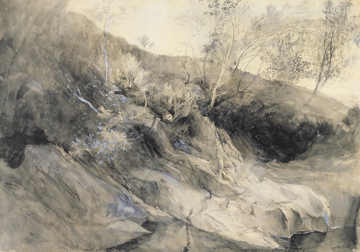 The Rocky Bank of a River - Verso: skisse av løvverk, ca. 1853 (vask med penn og blekk over grafitt på papir) av John Ruskin