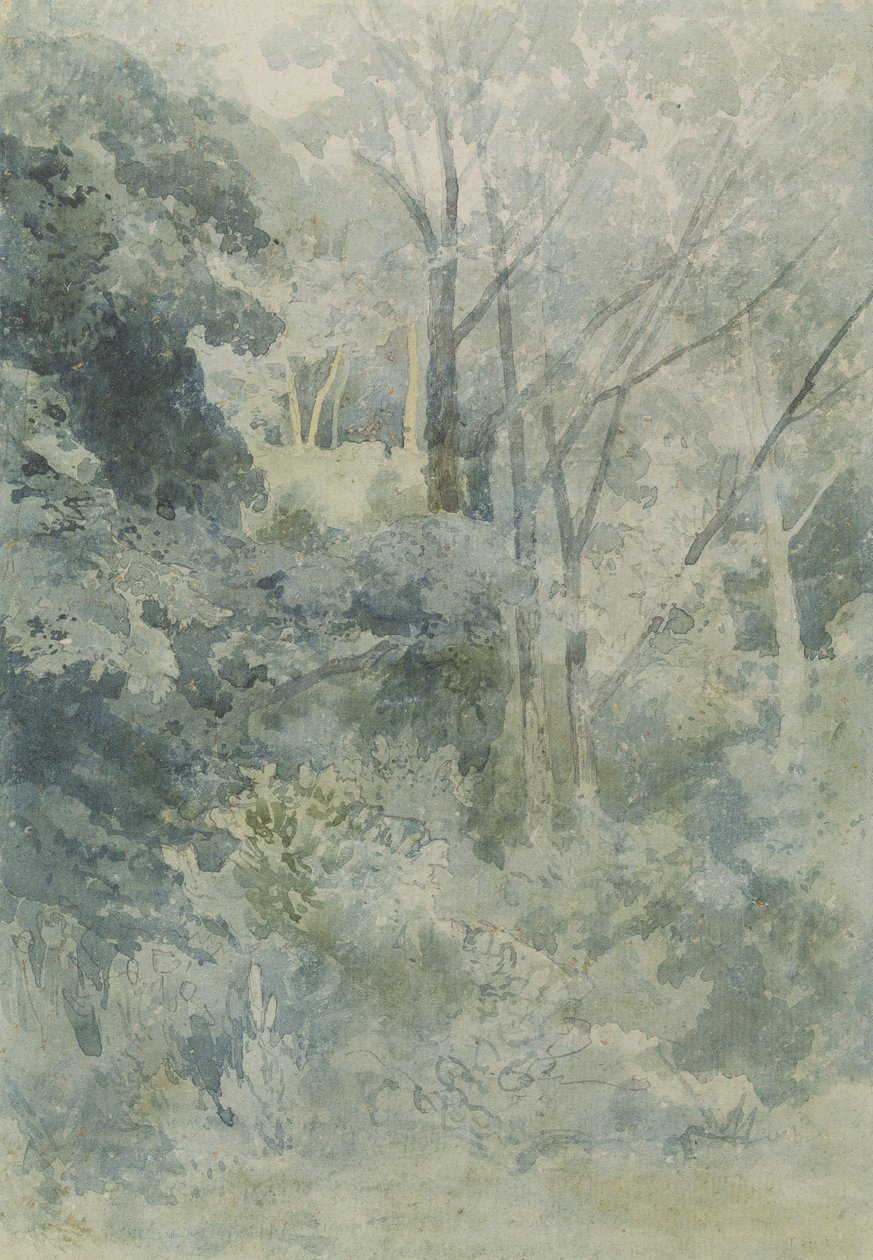 I Rokeby Park, ca. 1805 (wc og blyant på papir) av John Sell Cotman