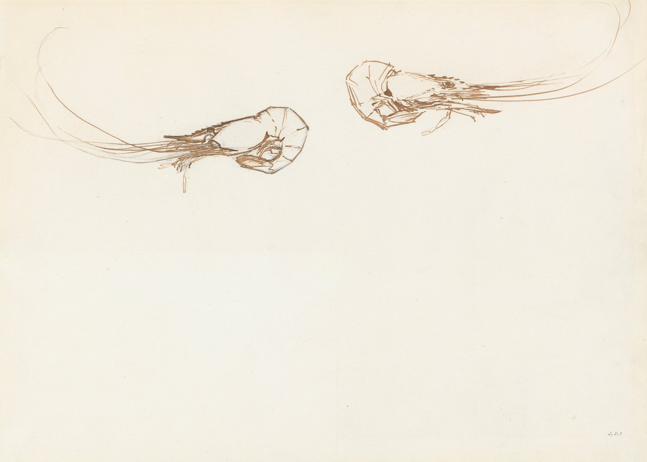 To reker (penn og blekk over grafitt på papir) av John Singer Sargent