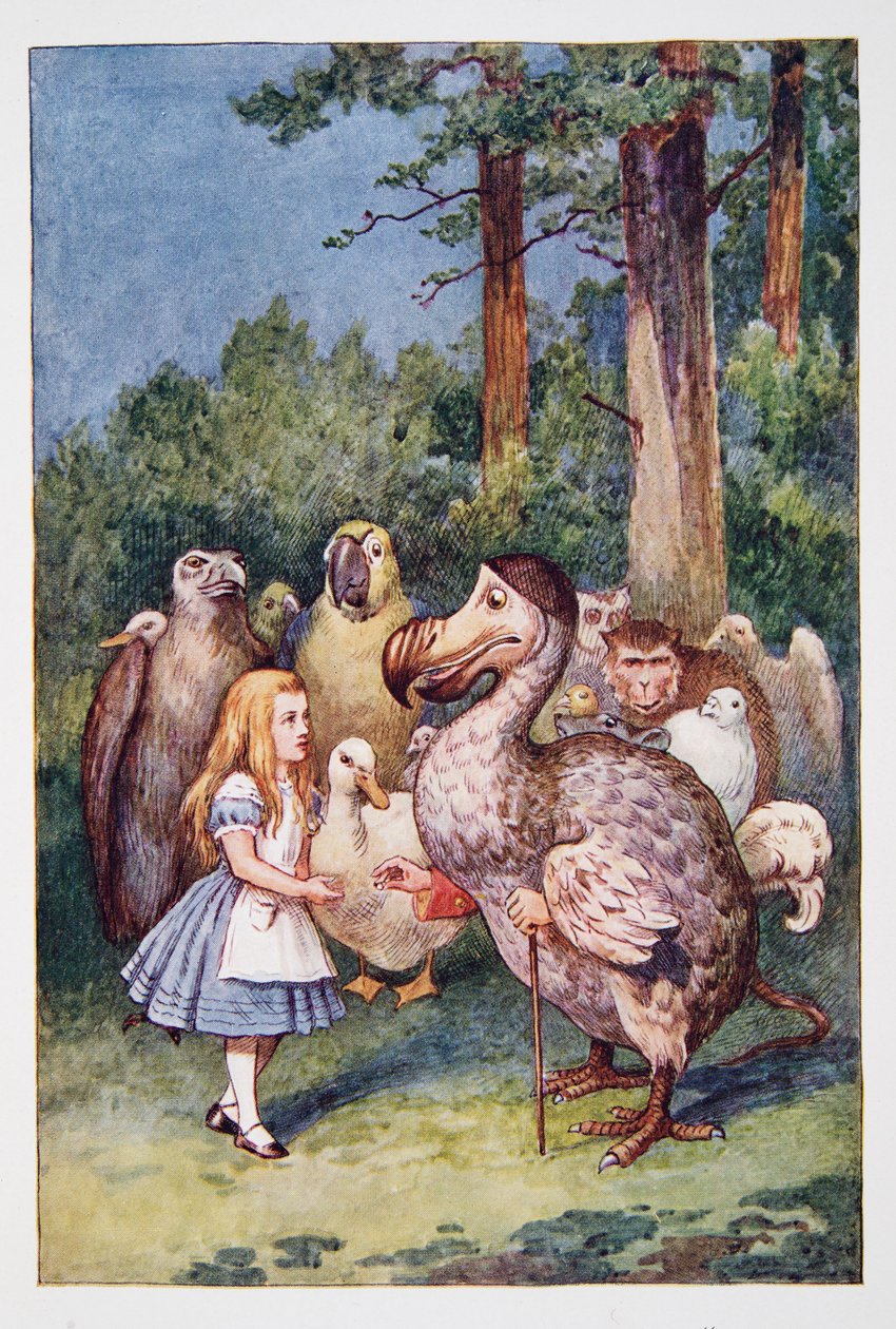 Alice møter Dodo, fra Alices Adventures In Wonderland And Through The Looking-Glass And What Alice Found There, av Lewis Carroll (1832 - 98), utgitt 1911 (farget litografi) av John Tenniel