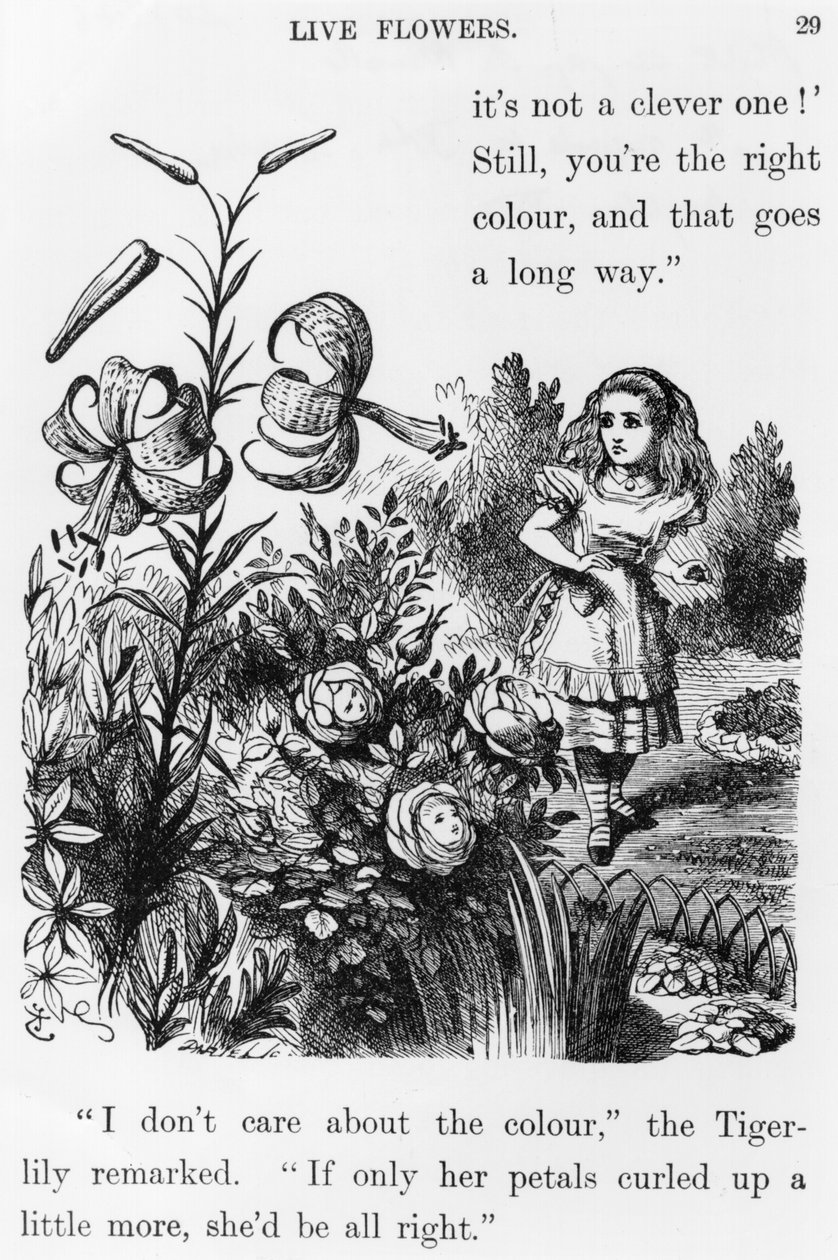 Tiger Lily, fra "Through the Looking Glass" av Lewis Carroll (1832-98) av John Tenniel