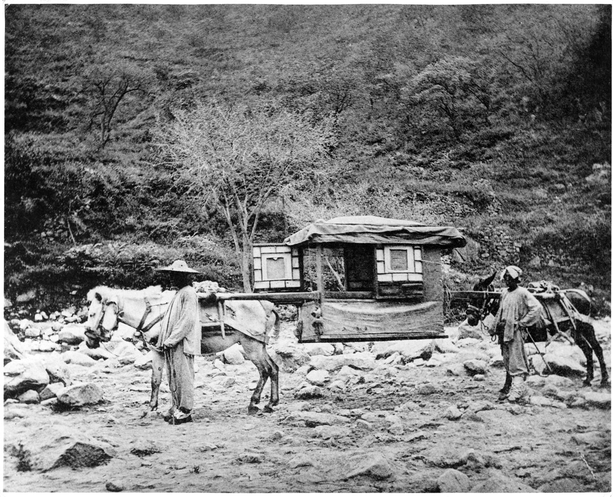Pekingeser muldyrkull, ca. 1867-72 av John Thomson