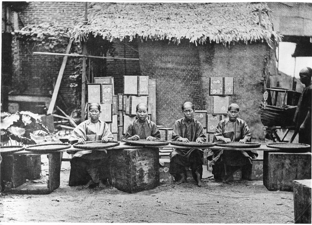 Teplukking i Canton, ca. 1872 av John Thomson