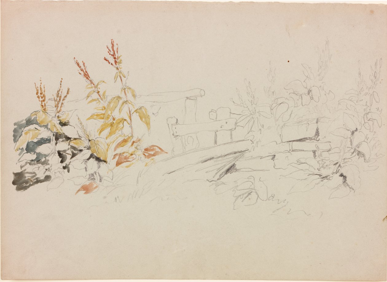 Naturstudie (blyant og akvarell på papir (grå)) av John Wilson Carmichael