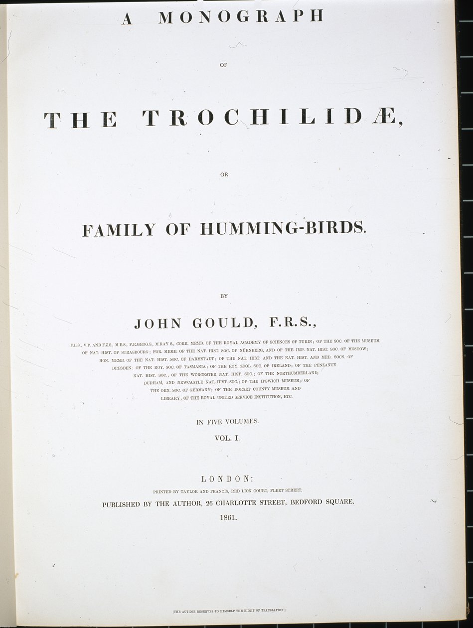 Frontispice (håndfarget litho) av John (after) Gould