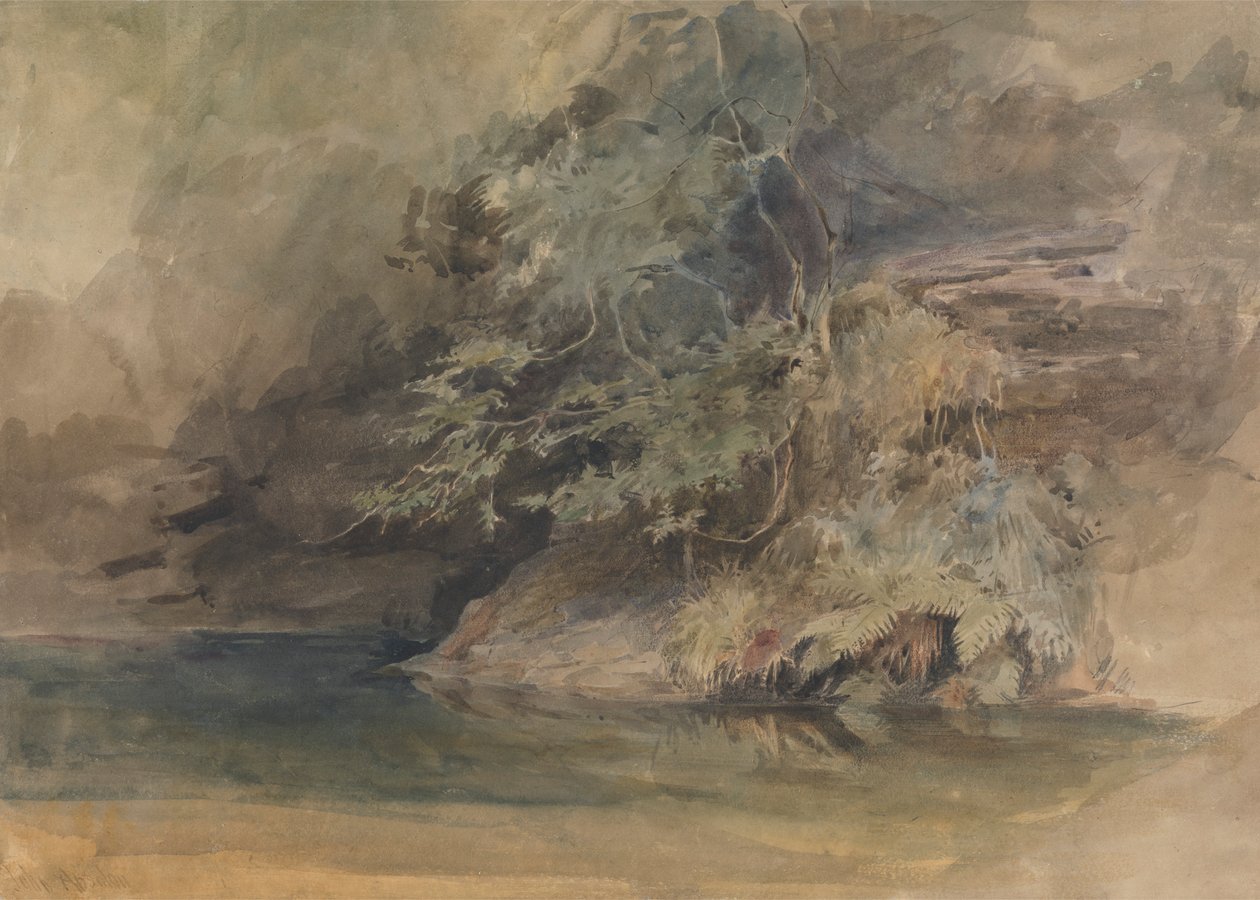 Trær ved et basseng av John Absolon