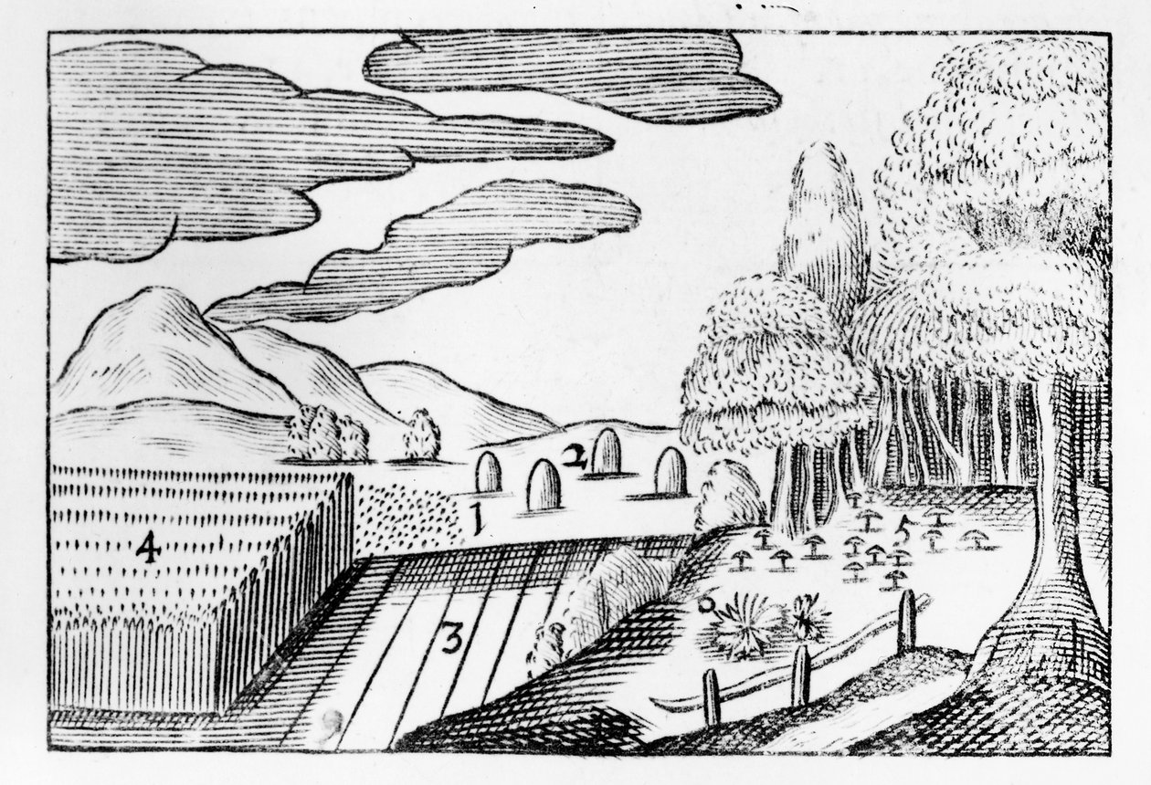 Jordens frukter, 1658 av John Amos Comenius