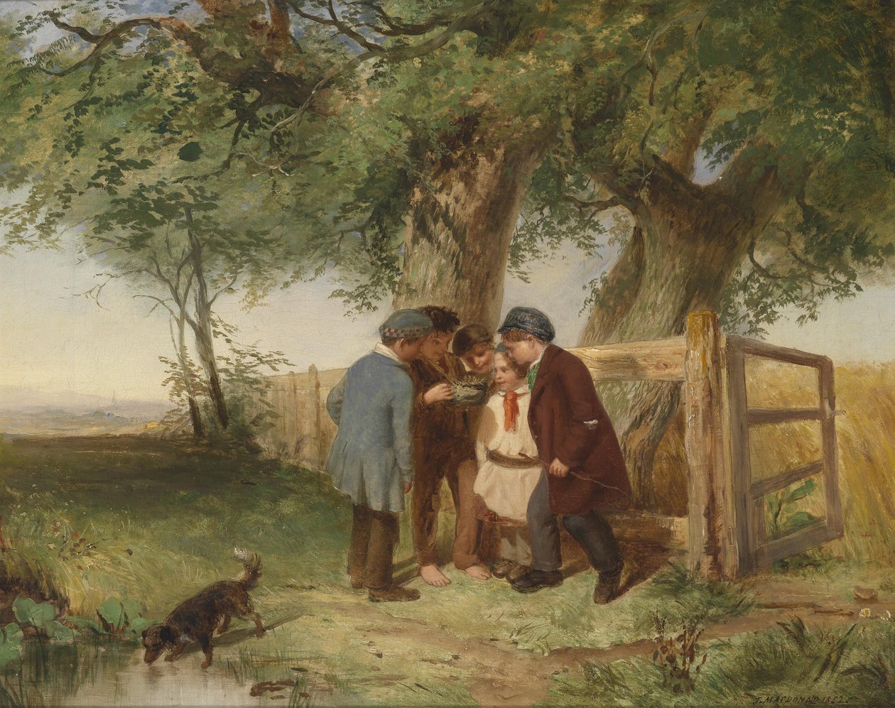 Fugleredet av John Blake MacDonald