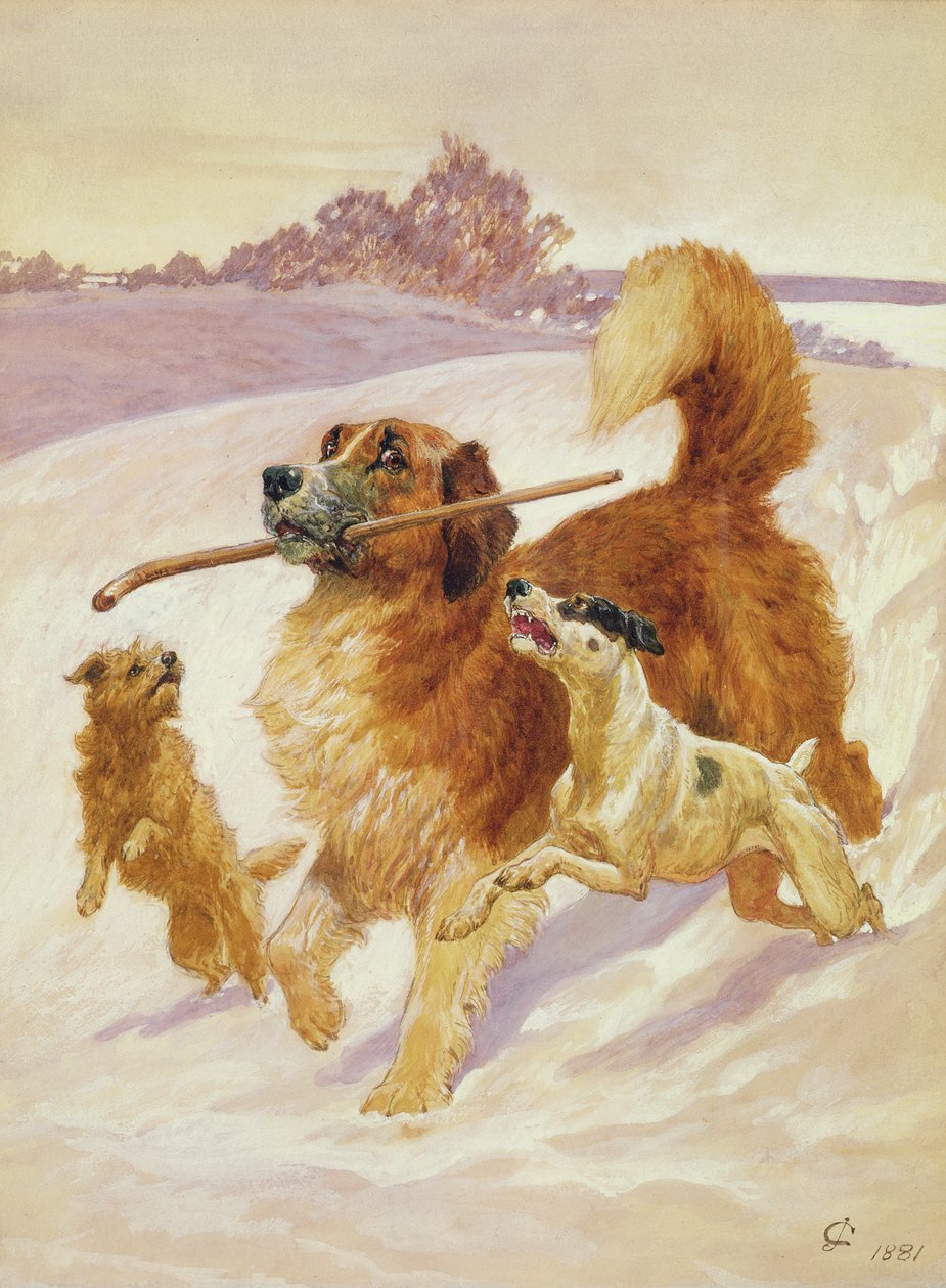 Tre hunder som leker i snøen, 1881 av John Charlton