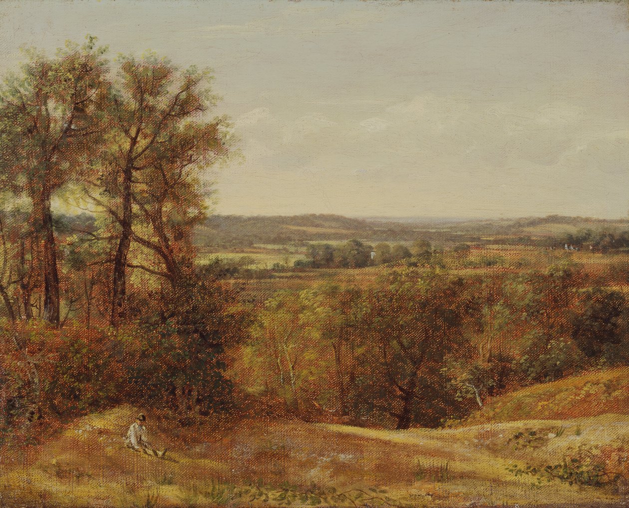 Dadham Wale, 1802. av John Constable