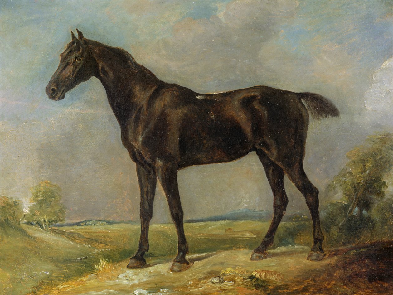 Golding Constables svarte ridehest, ca. 1805-10 av John Constable