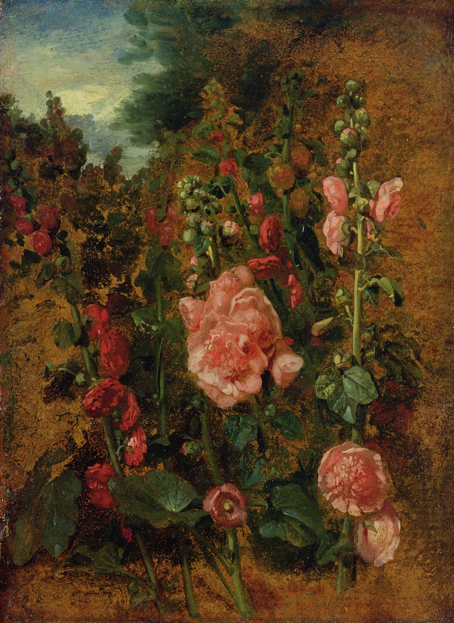 Study of Hollyhocks, ca. 1826 av John Constable