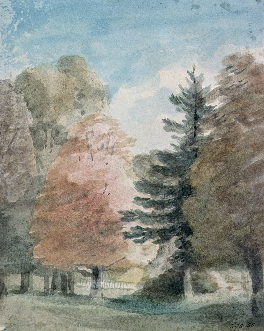 Studie av trær i en park (akvarell) av John Constable