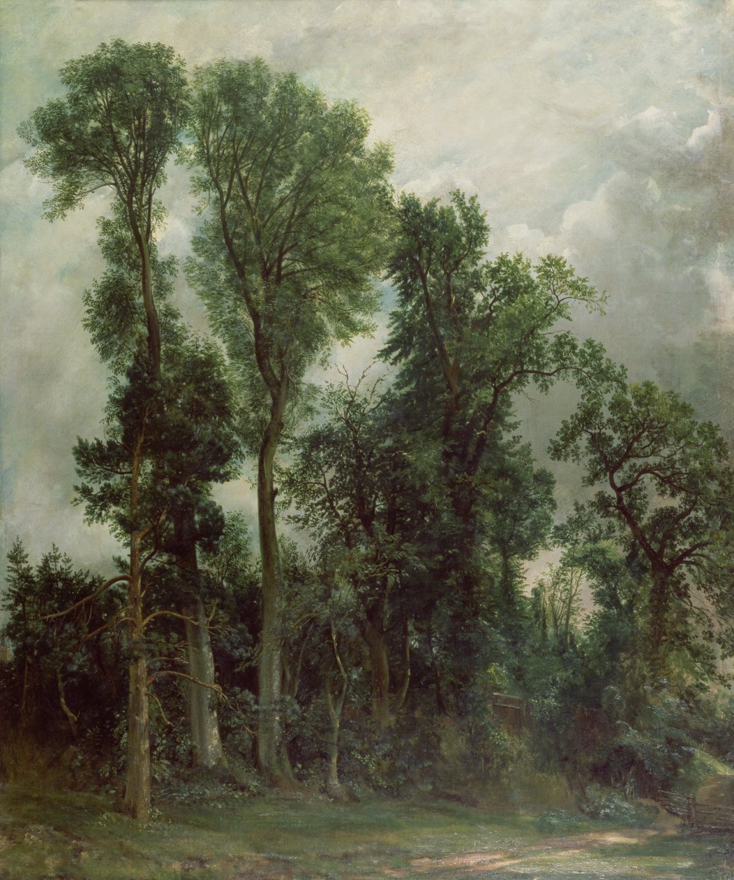 Trær i Hampstead av John Constable