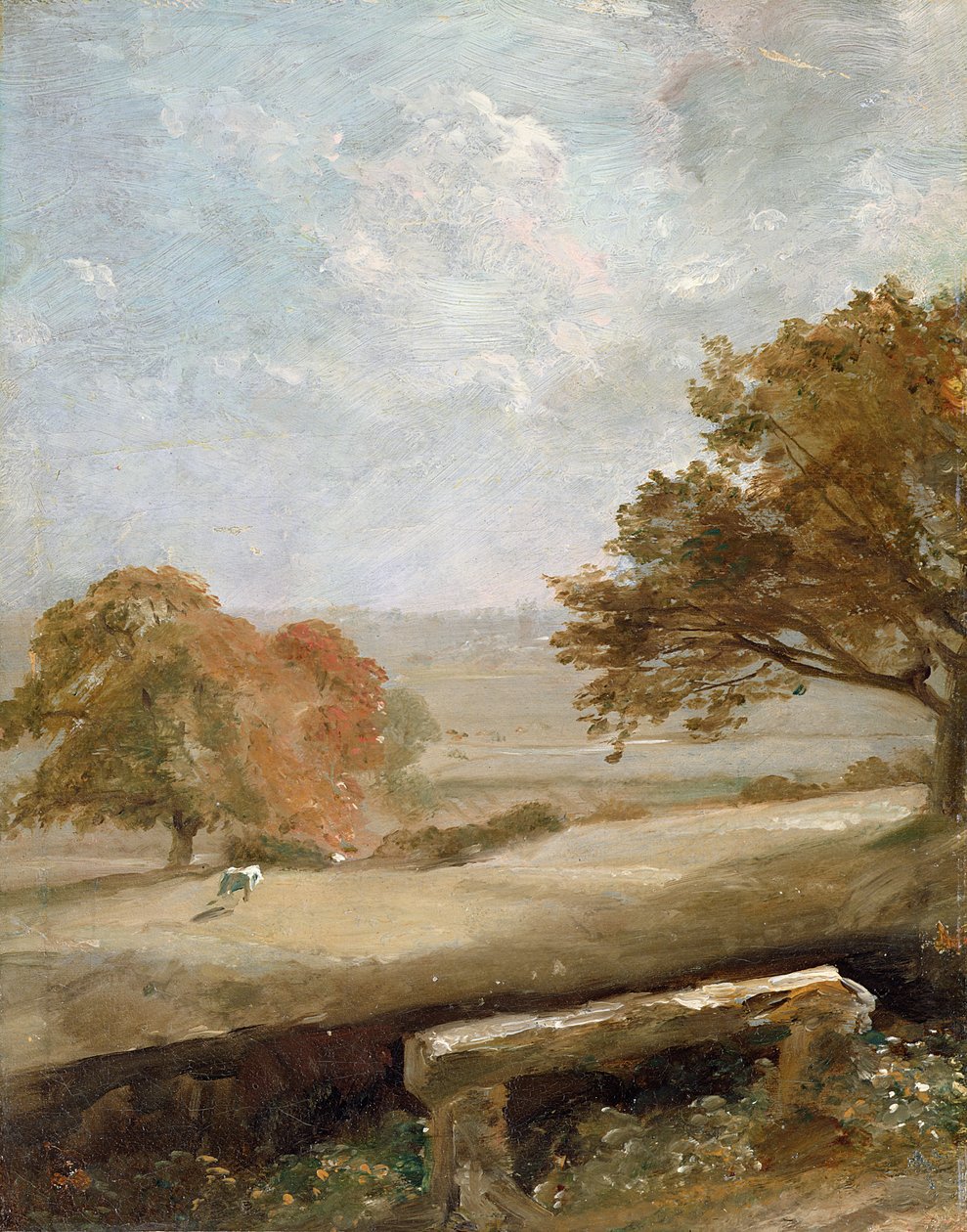 Ukjent bilde av John Constable