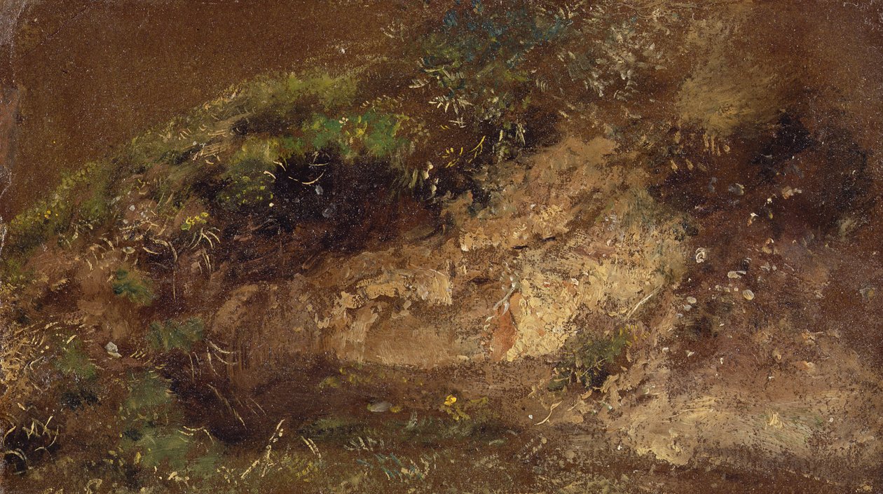 Undervekst, ca. 1821 (olje på papir om bord) av John Constable