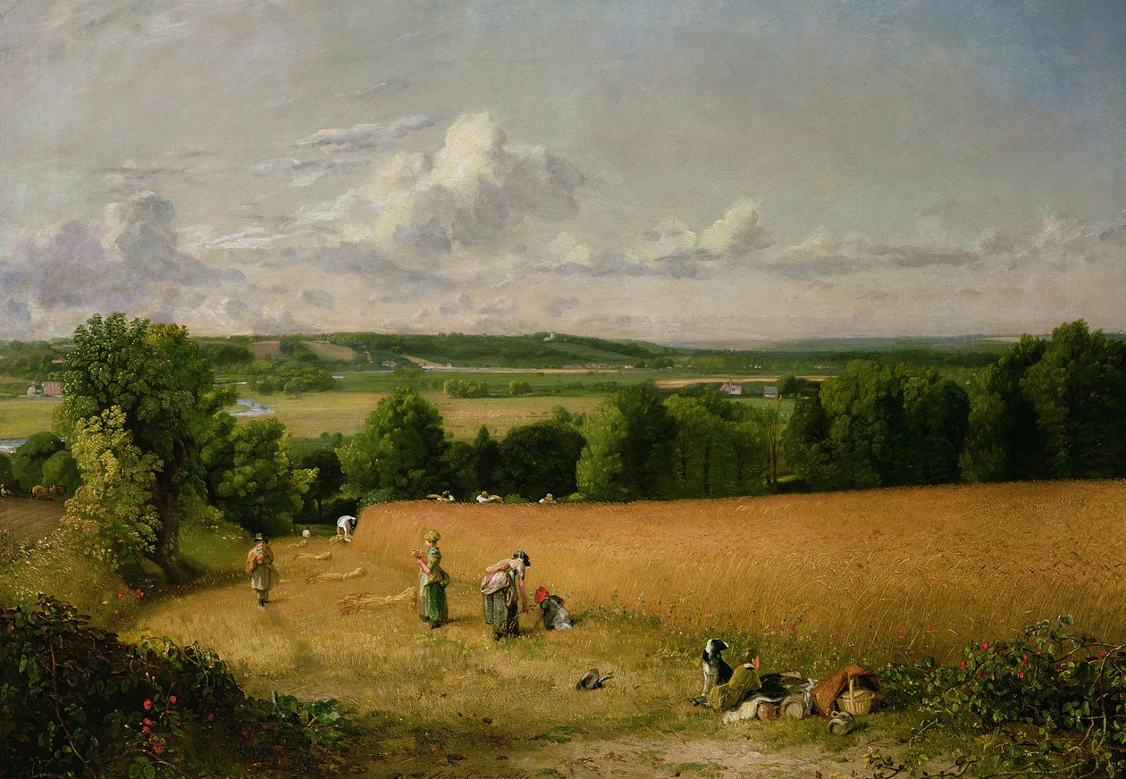 Hveteåker av John Constable