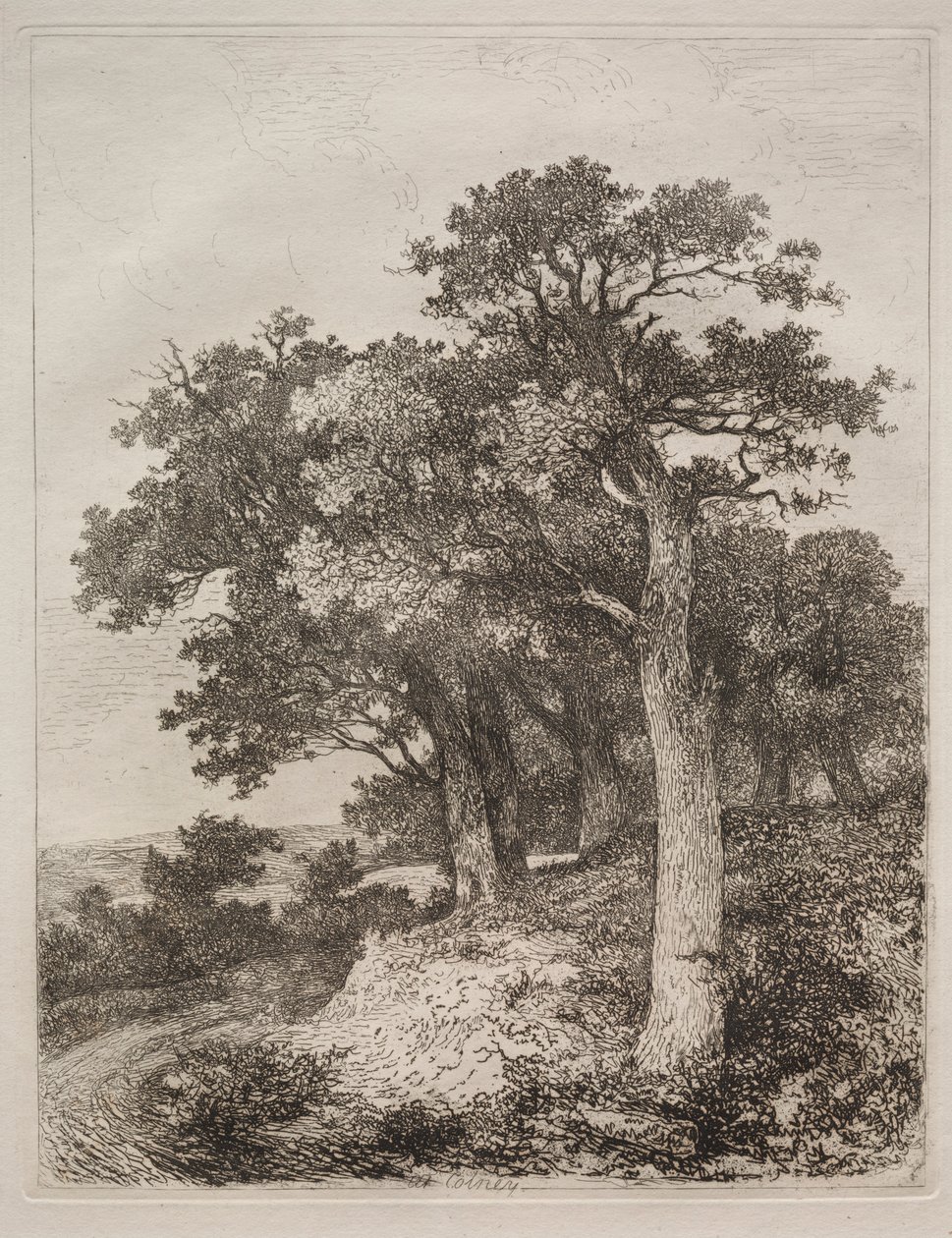 At Colney.    1193416   no       norwegian Successfully Translated  Original: Silverweed, Potentilla anserina. Translat: Silverweed, Potentilla anserina. 1376548 no norwegian Successfully Translated Original: View of the Ponte Rotto, Rome Translat: View of av John Crome