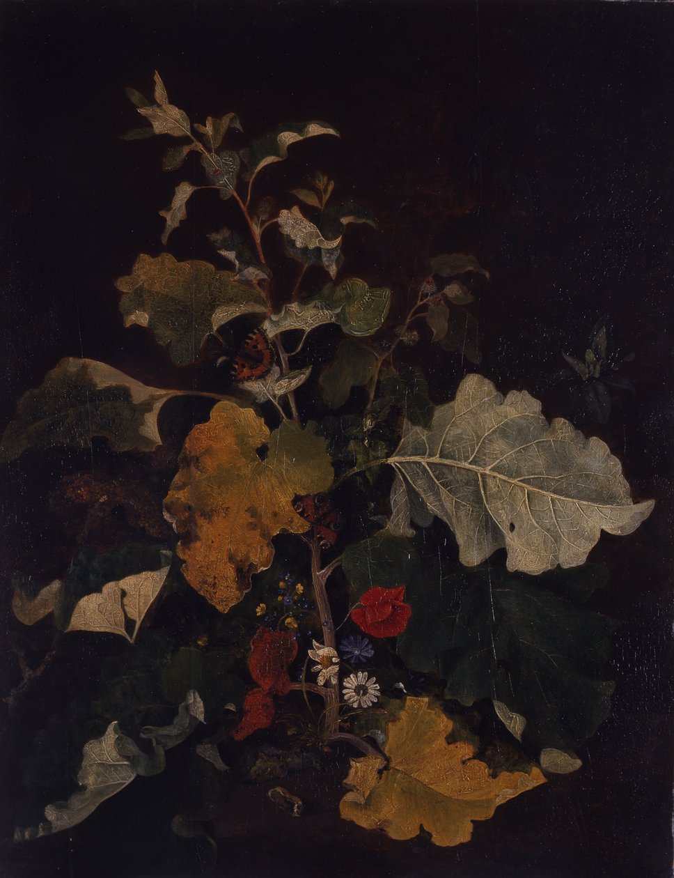Studie av en burdock av John Crome