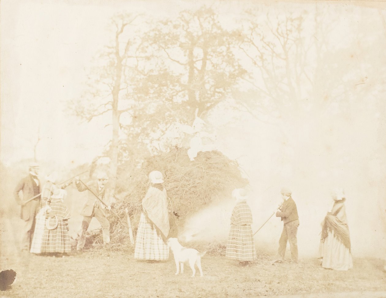 Guy Fawkes, 1853. av John Dillwyn Llewelyn