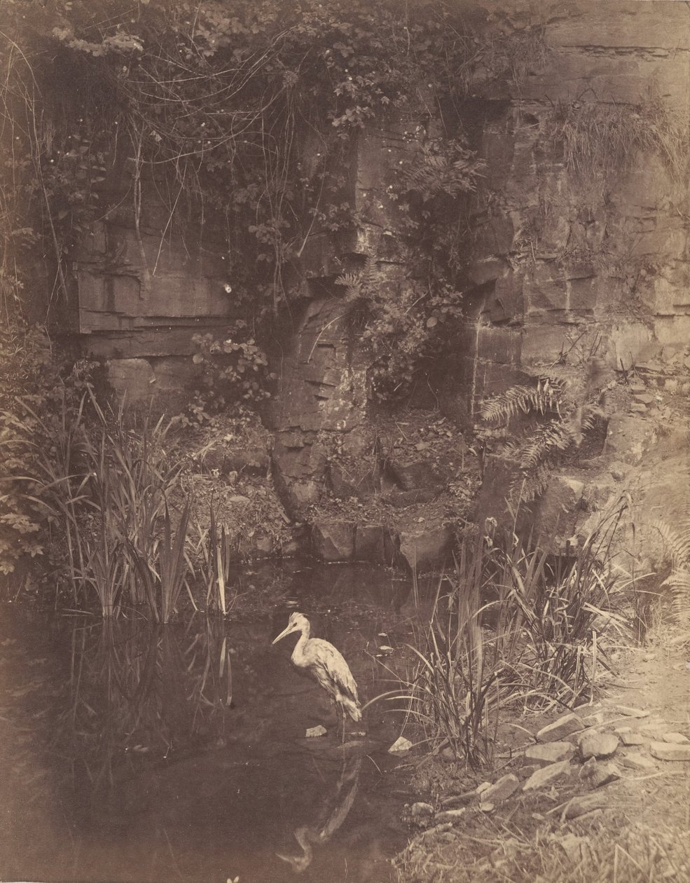 Fisker, nei. 2, 1856. av John Dillwyn Llewelyn