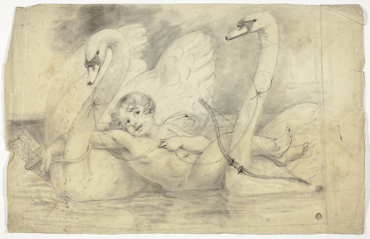  av John Downman