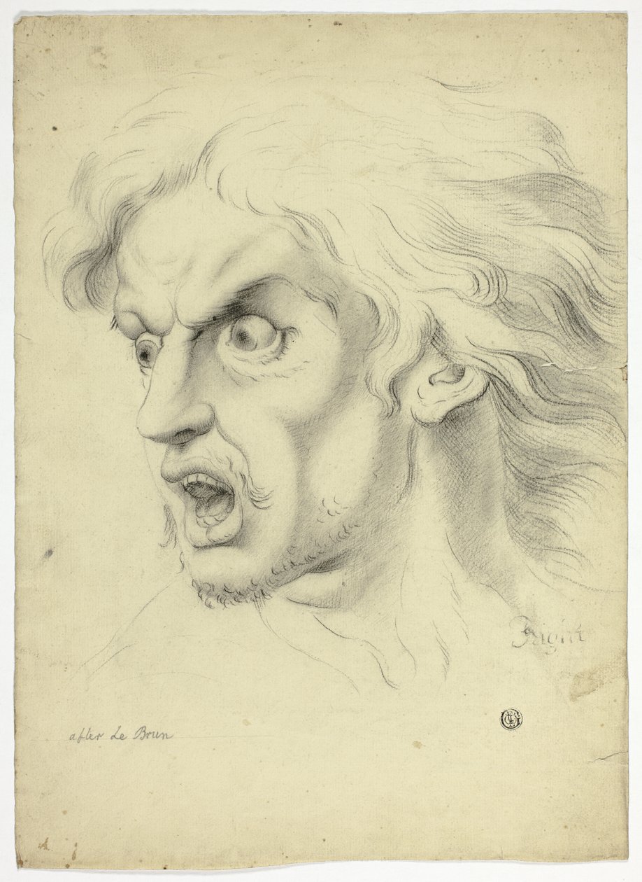  av John Downman